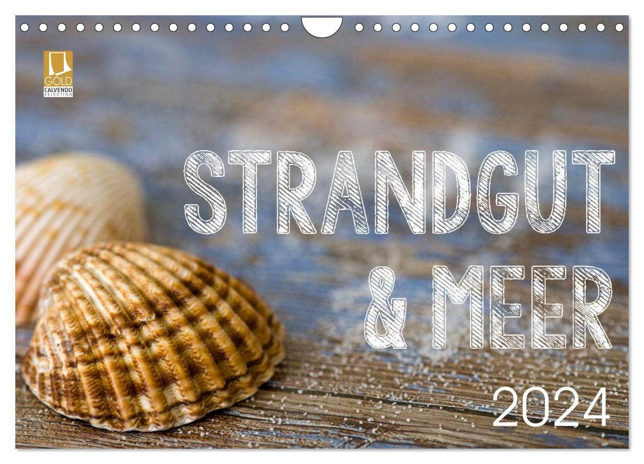 Cover: 9783383484261 | Strandgut und Meer 2024 (Wandkalender 2024 DIN A4 quer), CALVENDO...