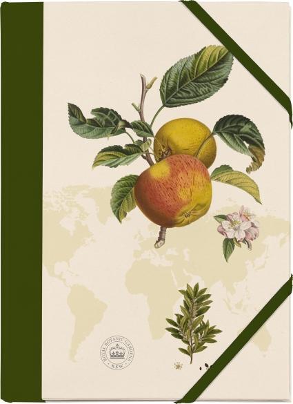 Cover: 4250915932224 | Kew Gardens Sammelmappe - Motiv Apfel | Stück | farbig bedruckt | 2018