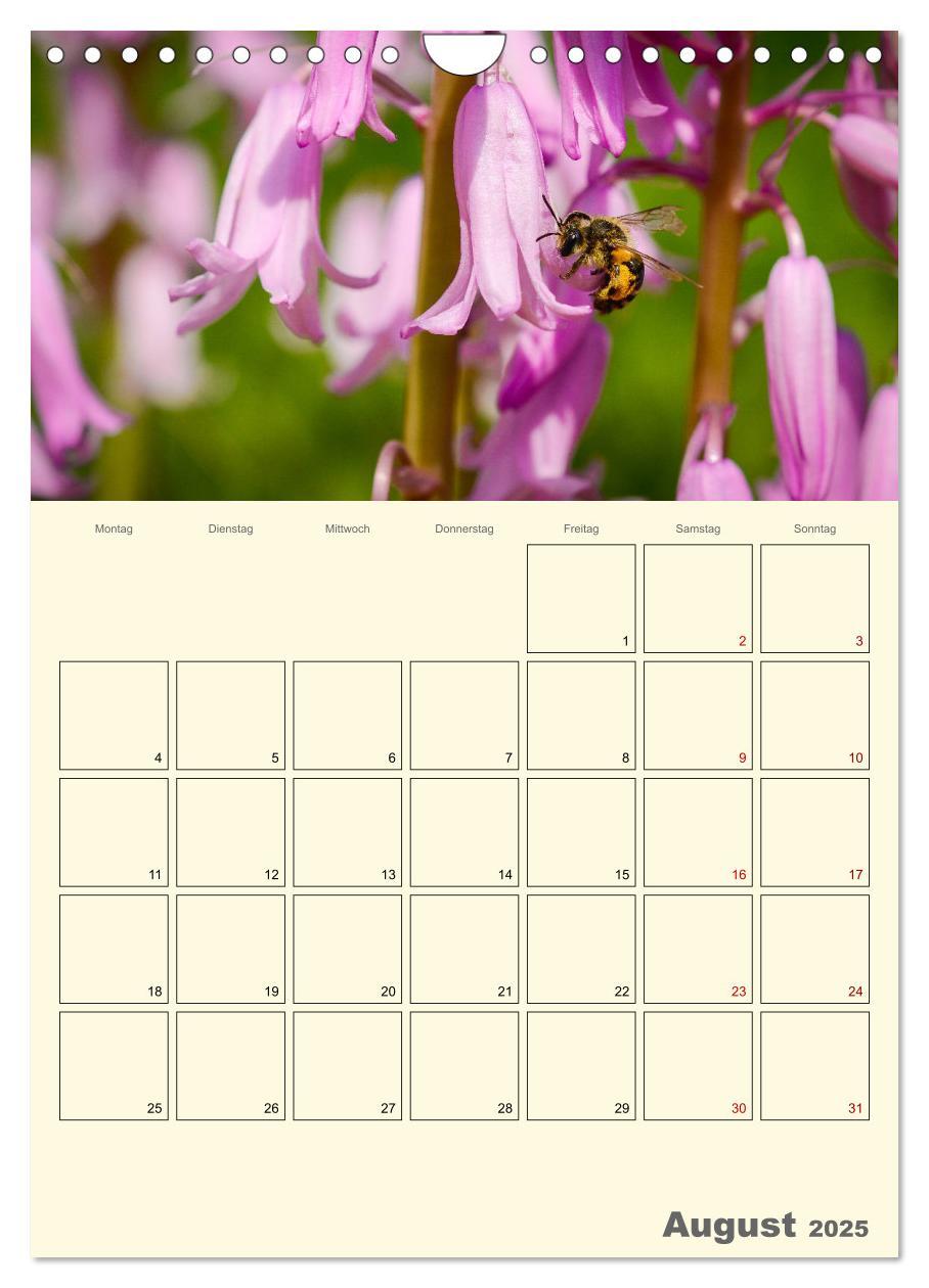 Bild: 9783435958023 | Bienen im Naturgarten (Wandkalender 2025 DIN A4 hoch), CALVENDO...