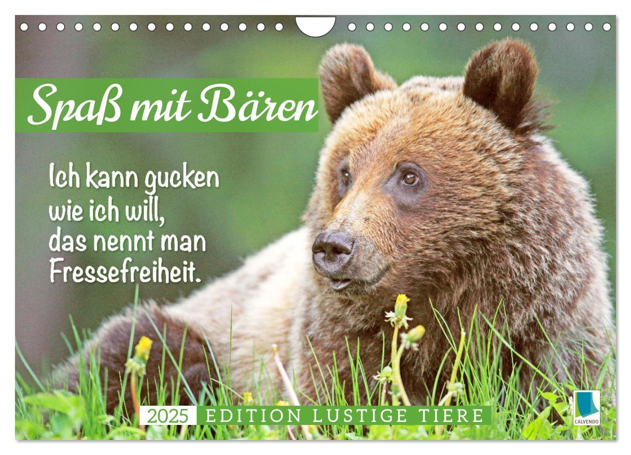 Cover: 9783383853494 | Spaß mit Bären: Edition lustige Tiere (Wandkalender 2025 DIN A4...