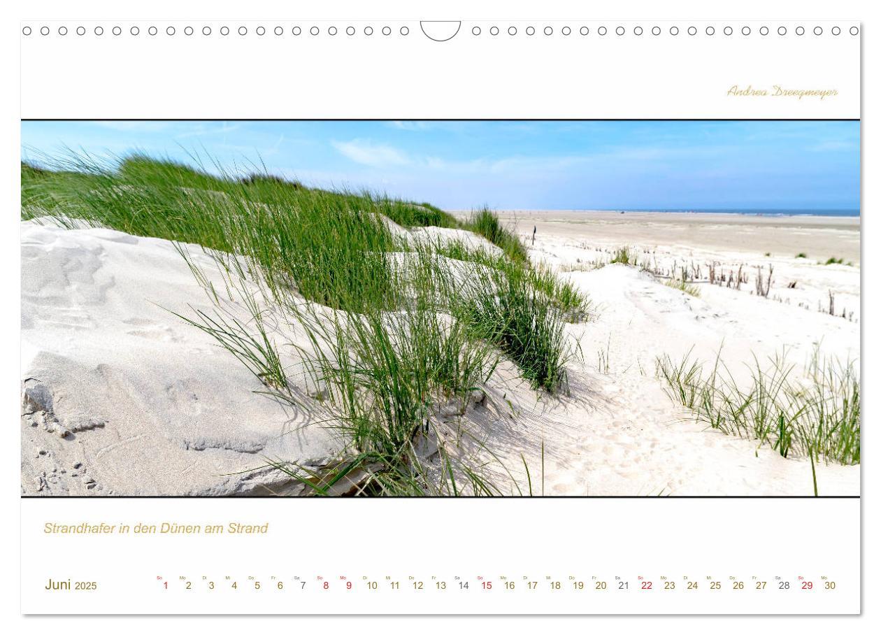 Bild: 9783435259021 | Borkum Inselpanorama (Wandkalender 2025 DIN A3 quer), CALVENDO...