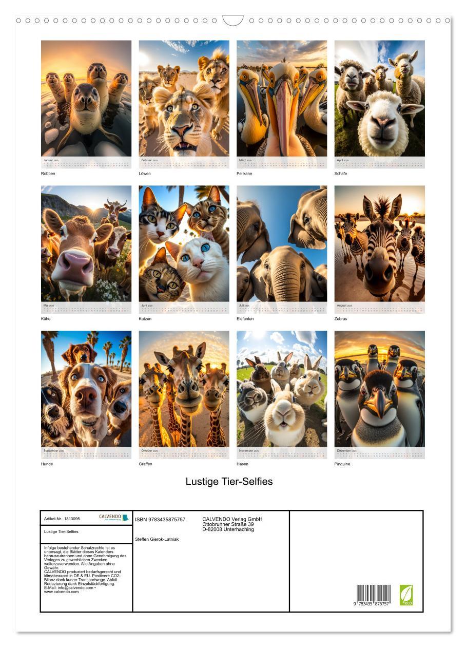 Bild: 9783435875757 | Lustige Tier-Selfies (Wandkalender 2025 DIN A2 hoch), CALVENDO...