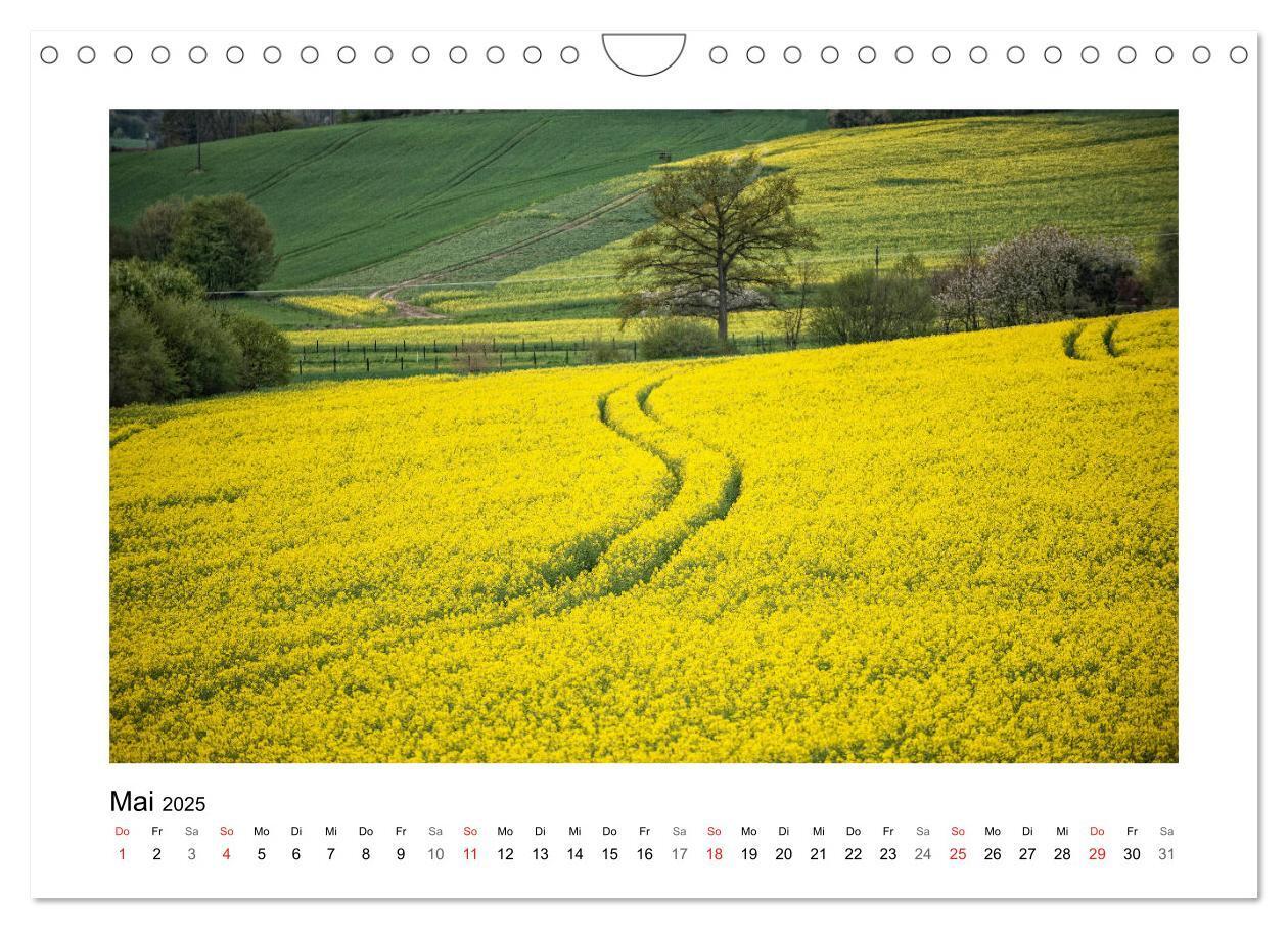 Bild: 9783435156207 | Impressionen aus Ostwestfalen-Lippe (Wandkalender 2025 DIN A4...