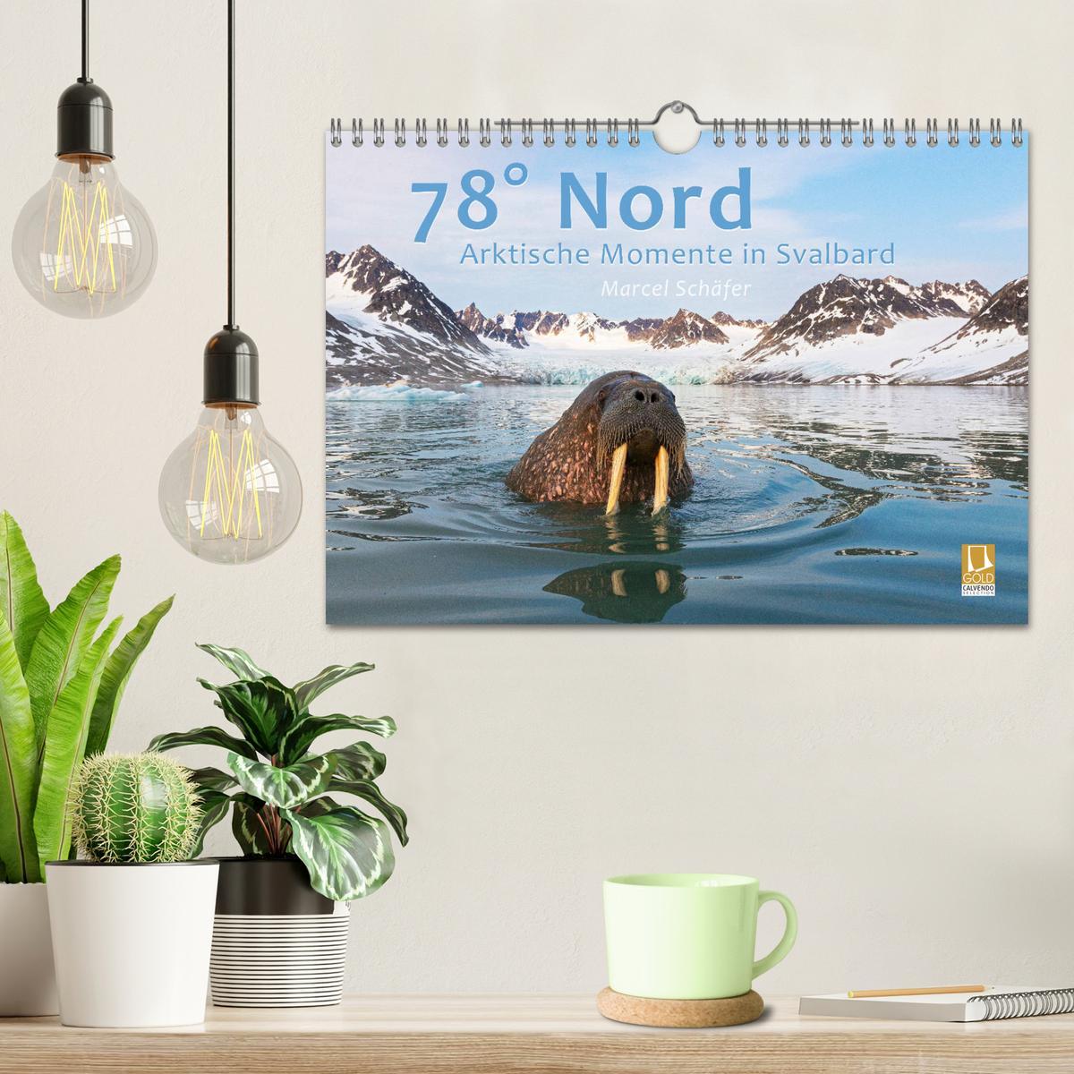 Bild: 9783435182633 | 78° Nord - Arktische Momente in Svalbard (Wandkalender 2025 DIN A4...