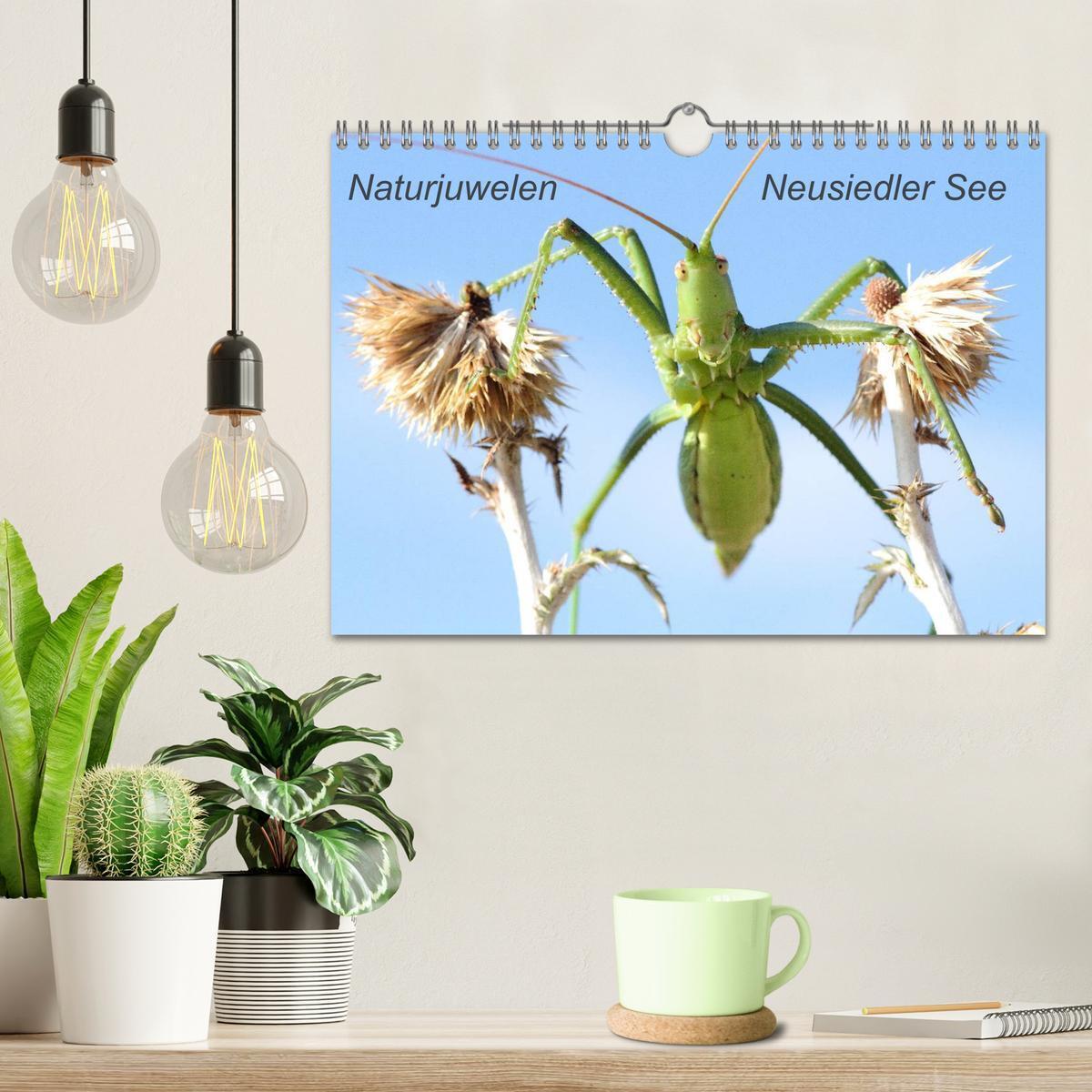 Bild: 9783435727445 | Naturjuwelen - Neusiedler See (Wandkalender 2025 DIN A4 quer),...