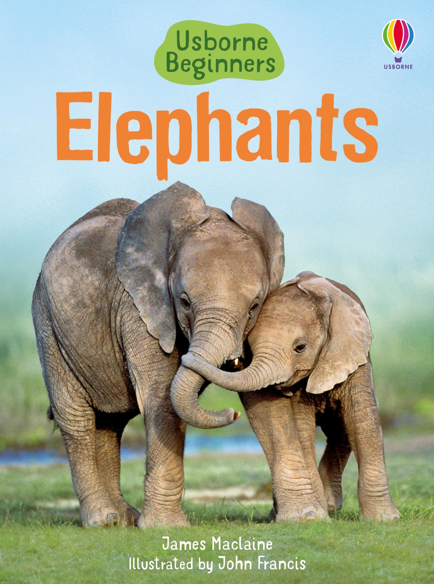 Cover: 9781409530497 | Elephants | James Maclaine | Buch | Gebunden | Englisch | 2011