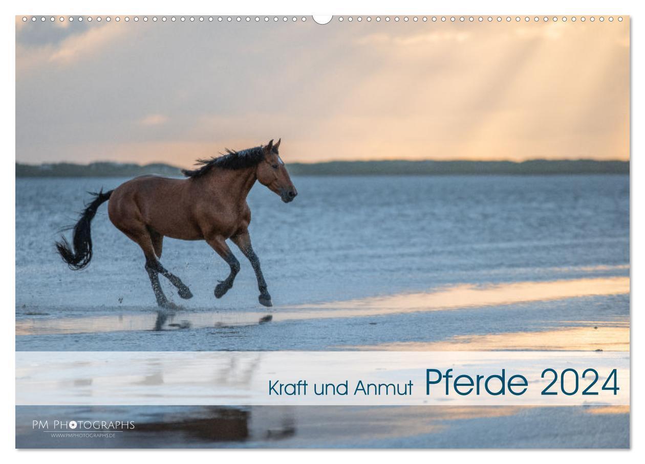 Cover: 9783675631113 | Pferde 2024 Kraft und Anmut (Wandkalender 2024 DIN A2 quer),...