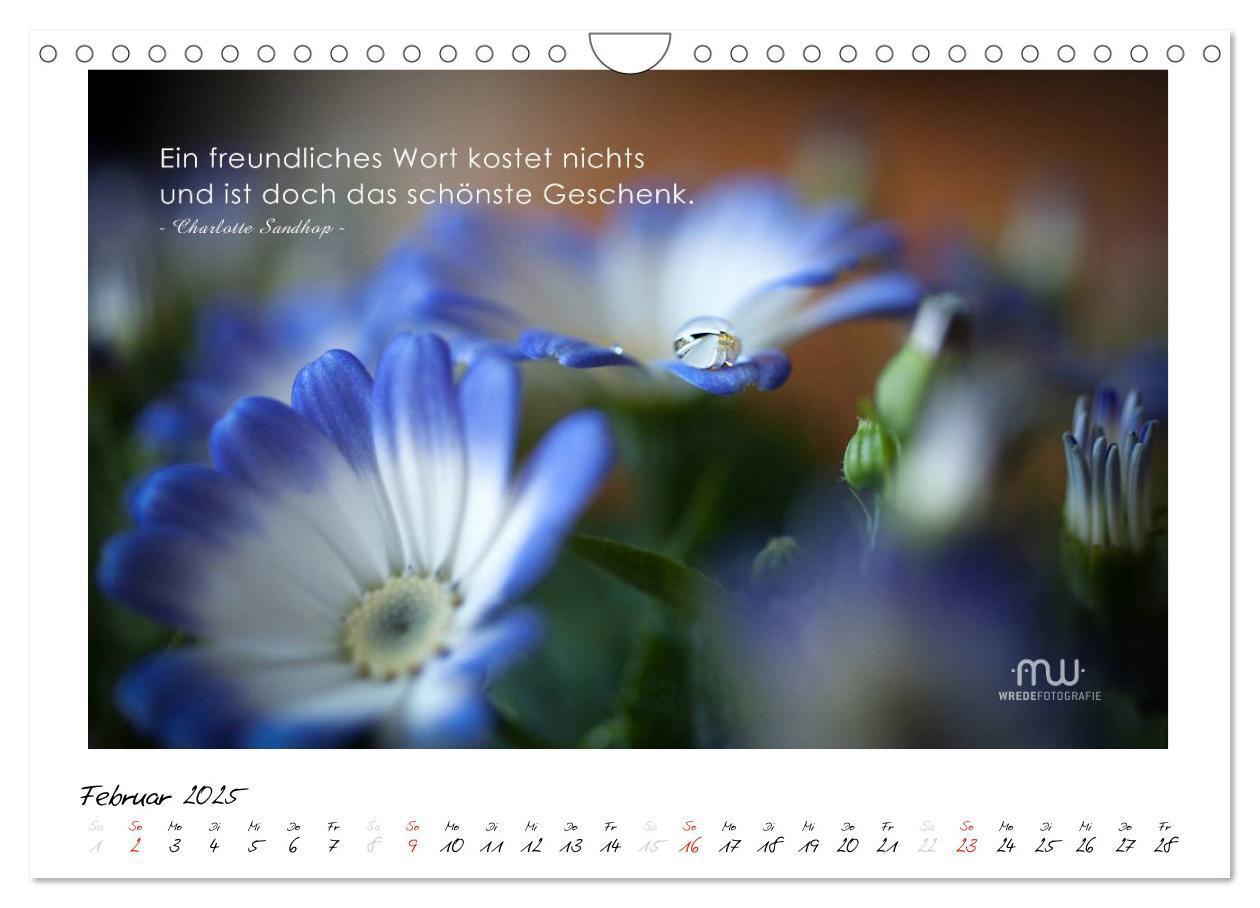 Bild: 9783435658527 | Gedanken... Bildkalender mit Sprüchen (Wandkalender 2025 DIN A4...