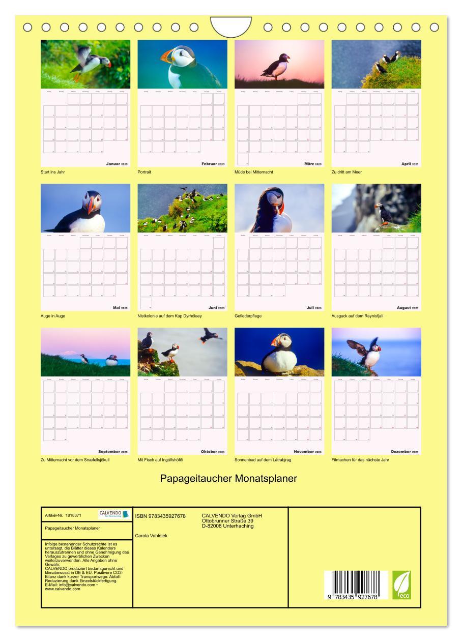 Bild: 9783435927678 | Papageitaucher Monatsplaner (Wandkalender 2025 DIN A4 hoch),...