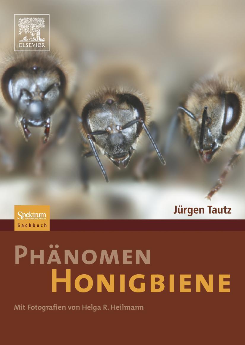 Cover: 9783827418456 | Phänomen Honigbiene | Jürgen Tautz | Buch | X | Deutsch | 2012
