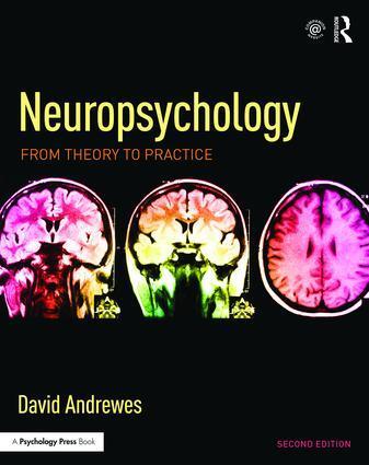 Cover: 9781841697017 | Neuropsychology | From Theory to Practice | David Andrewes | Buch