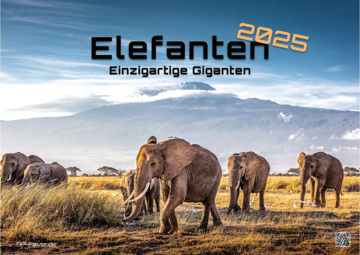 Cover: 9783986733933 | Elefanten - einzigartige Giganten - 2025 - Kalender DIN A3 | Kalender