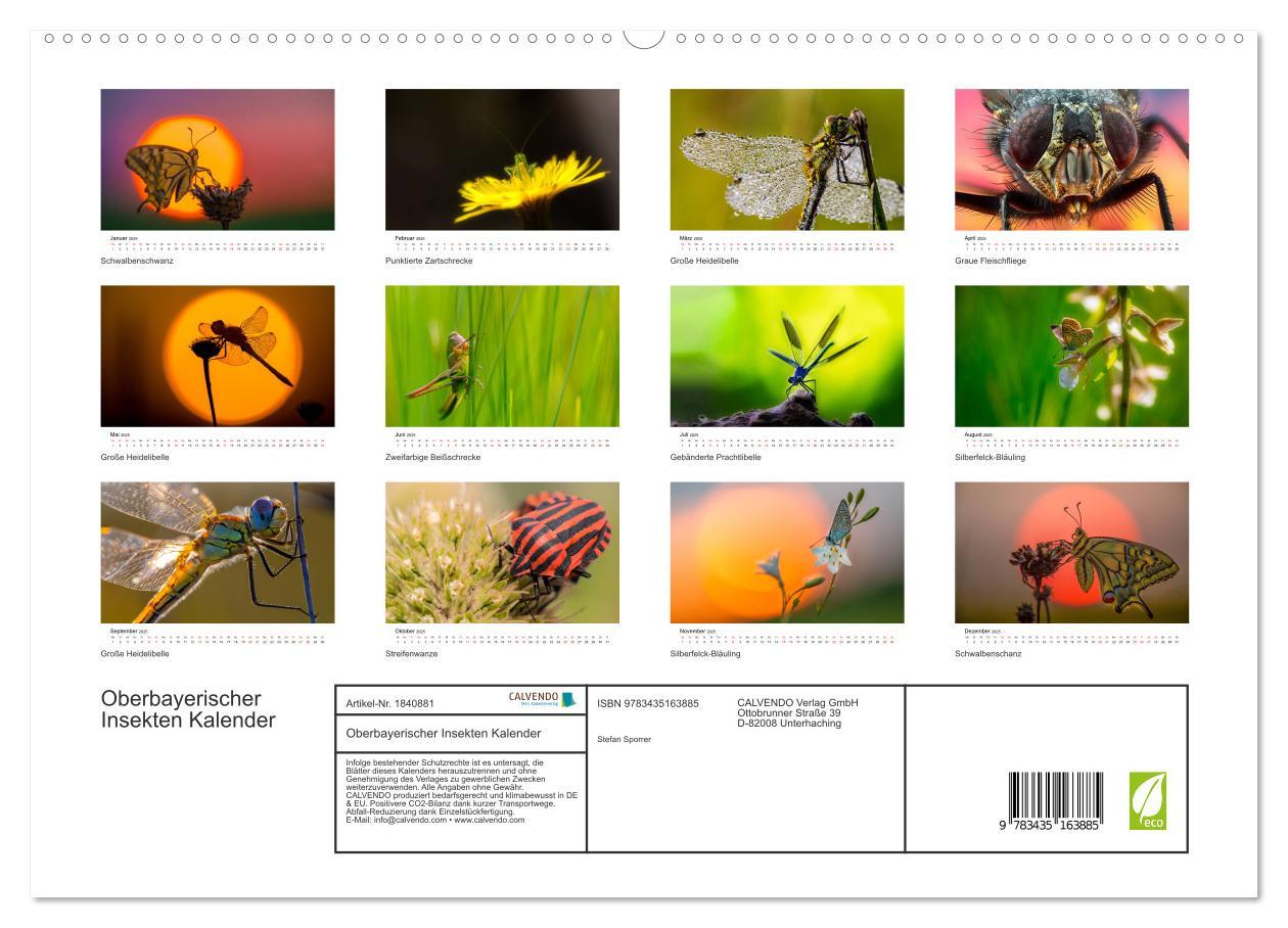 Bild: 9783435163885 | Oberbayerischer Insekten Kalender (hochwertiger Premium...