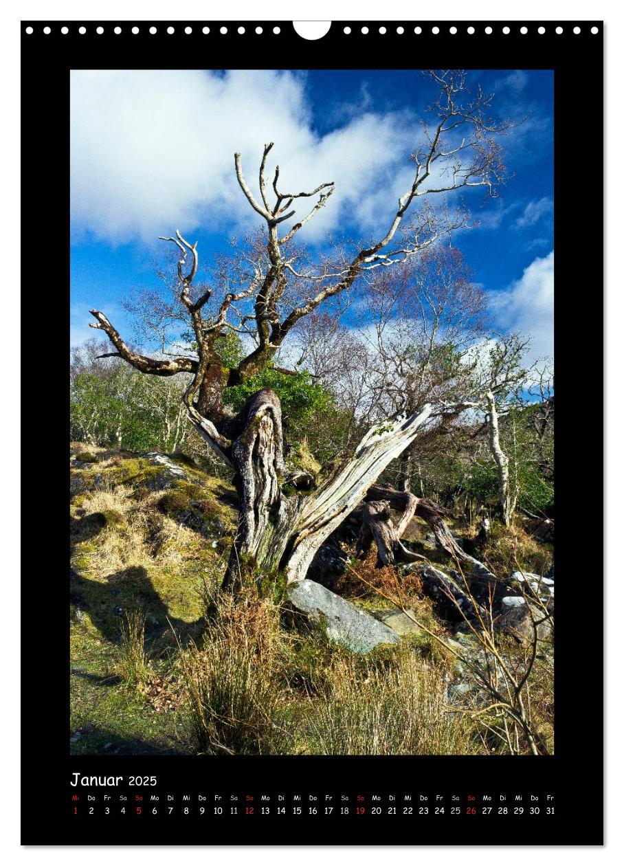 Bild: 9783457061565 | Irland - Romantische Plätze auf der Grünen Insel (Wandkalender 2025...