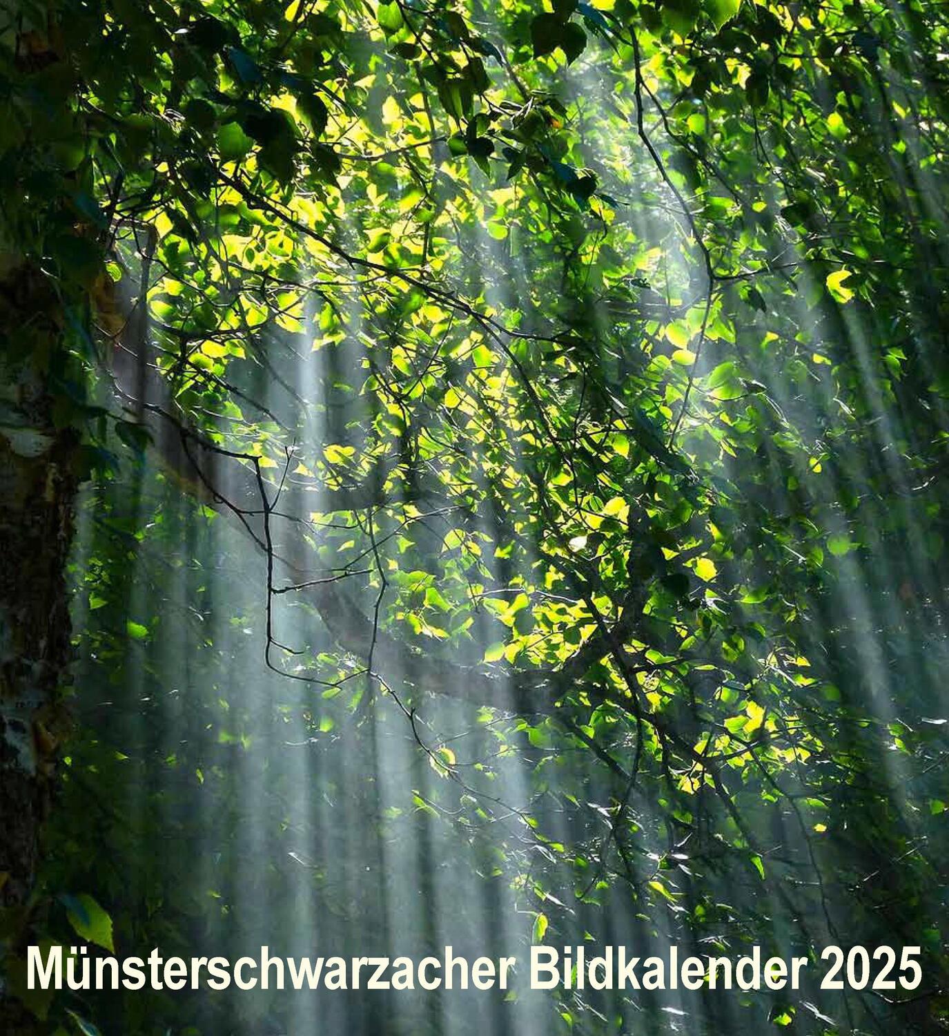 Cover: 9783736505414 | Münsterschwarzacher Bildkalender 2025 | Abtei Münsterschwarzach | 2025