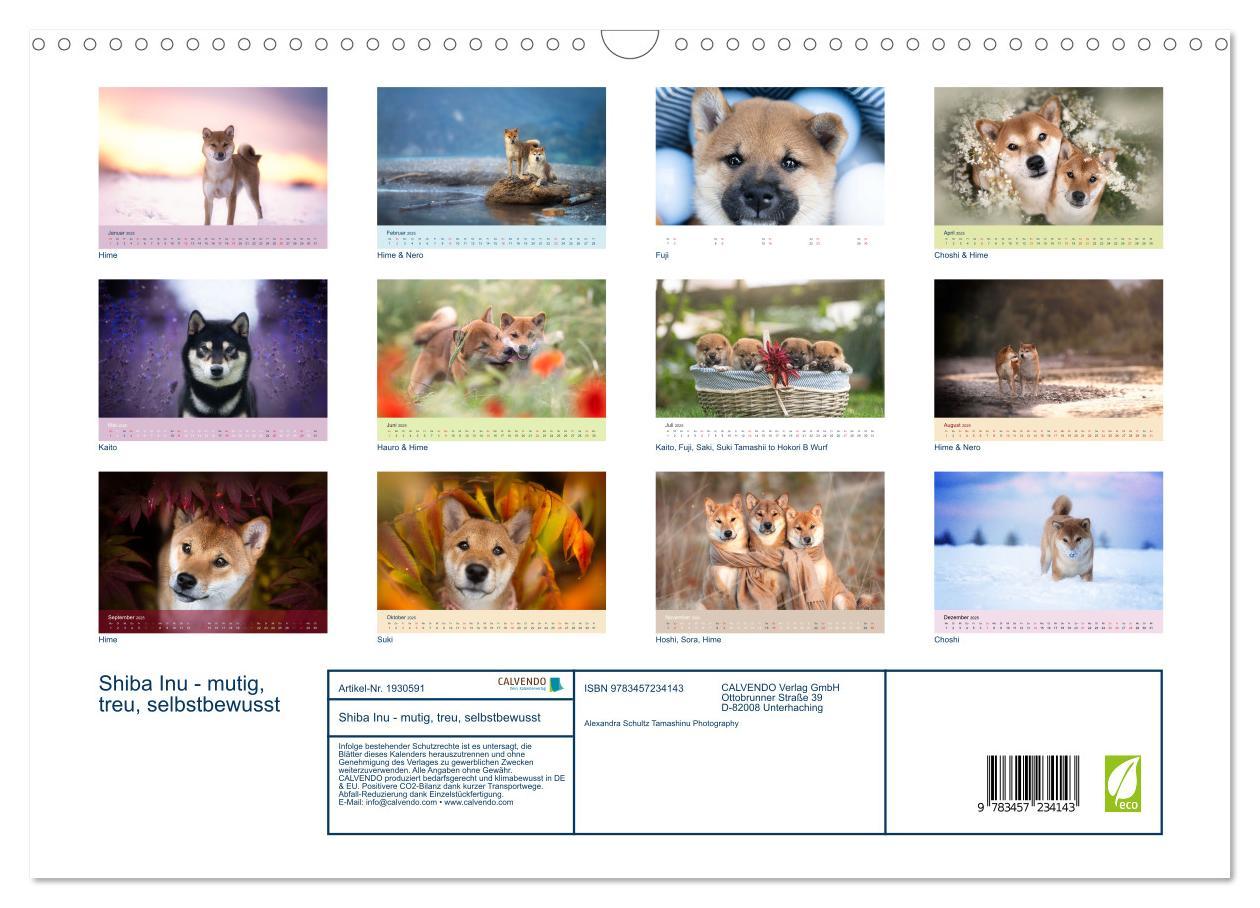 Bild: 9783457234143 | Shiba Inu - mutig, treu, selbstbewusst (Wandkalender 2025 DIN A3...