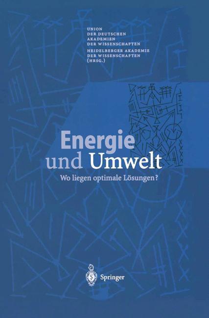 Cover: 9783540675754 | Energie und Umwelt | Wo liegen optimale Lösungen? | Taschenbuch | XVI