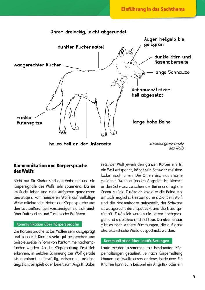 Bild: 9783769824452 | Arbeitsmaterial Grundschule. Sachunterricht. Der Wolf. | Stöckl-Bauer