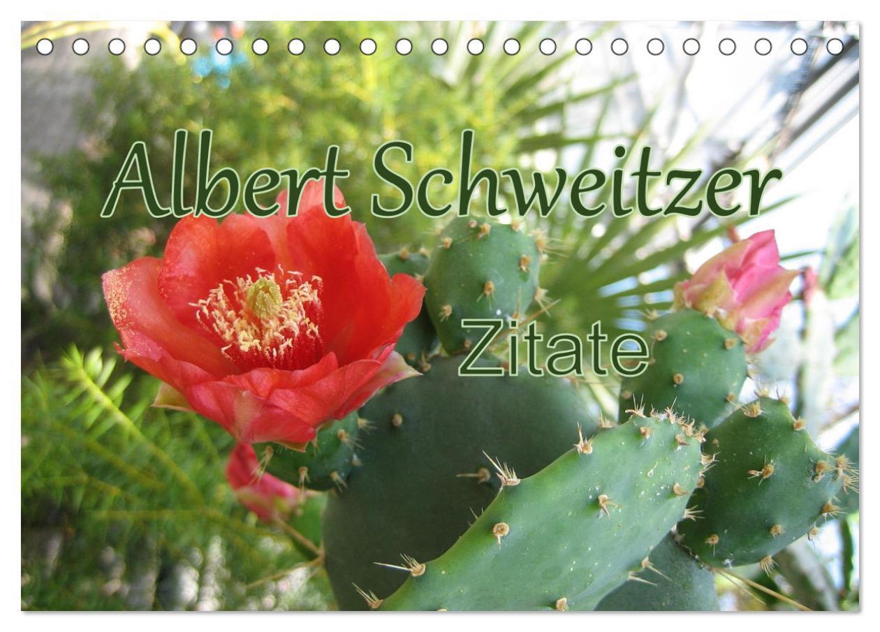 Cover: 9783435101023 | Albert Schweitzer Zitate (Tischkalender 2025 DIN A5 quer), CALVENDO...