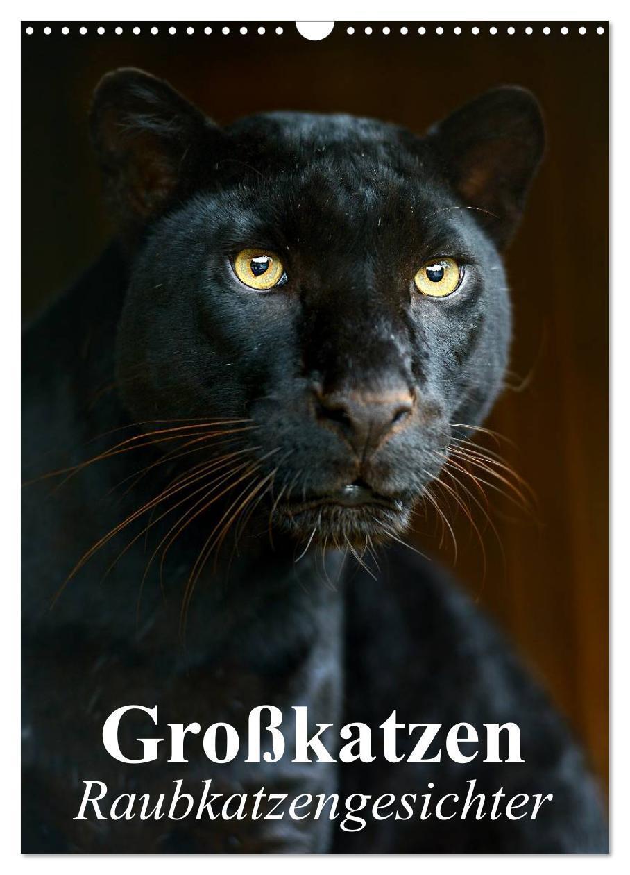 Cover: 9783383535581 | Großkatzen. Raubkatzengesichter (Wandkalender 2024 DIN A3 hoch),...