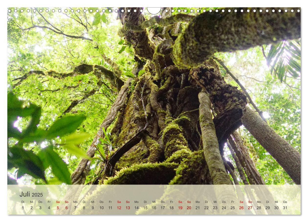 Bild: 9783383841439 | Bekanntes und Unbekanntes Costa Rica (Wandkalender 2025 DIN A3...