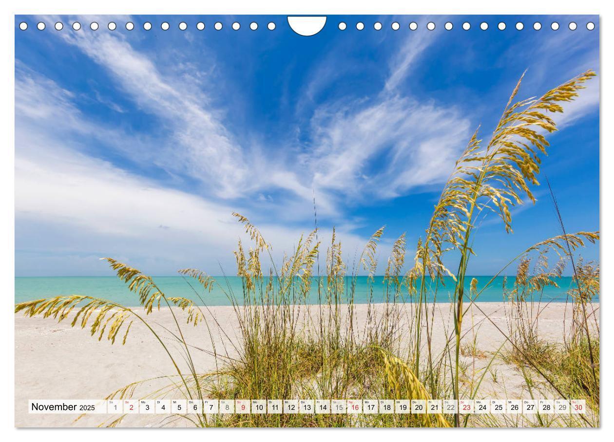 Bild: 9783435820283 | FLORIDA Malerischer Sonnenscheinstaat (Wandkalender 2025 DIN A4...