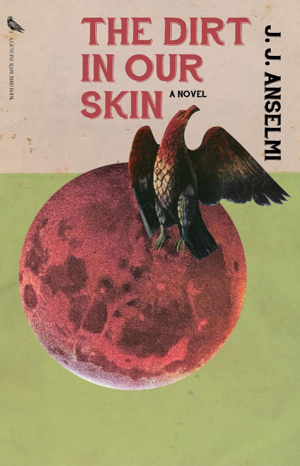 Cover: 9781644283752 | The Dirt in Our Skin | J.J. Anselmi | Taschenbuch | Englisch | 2024