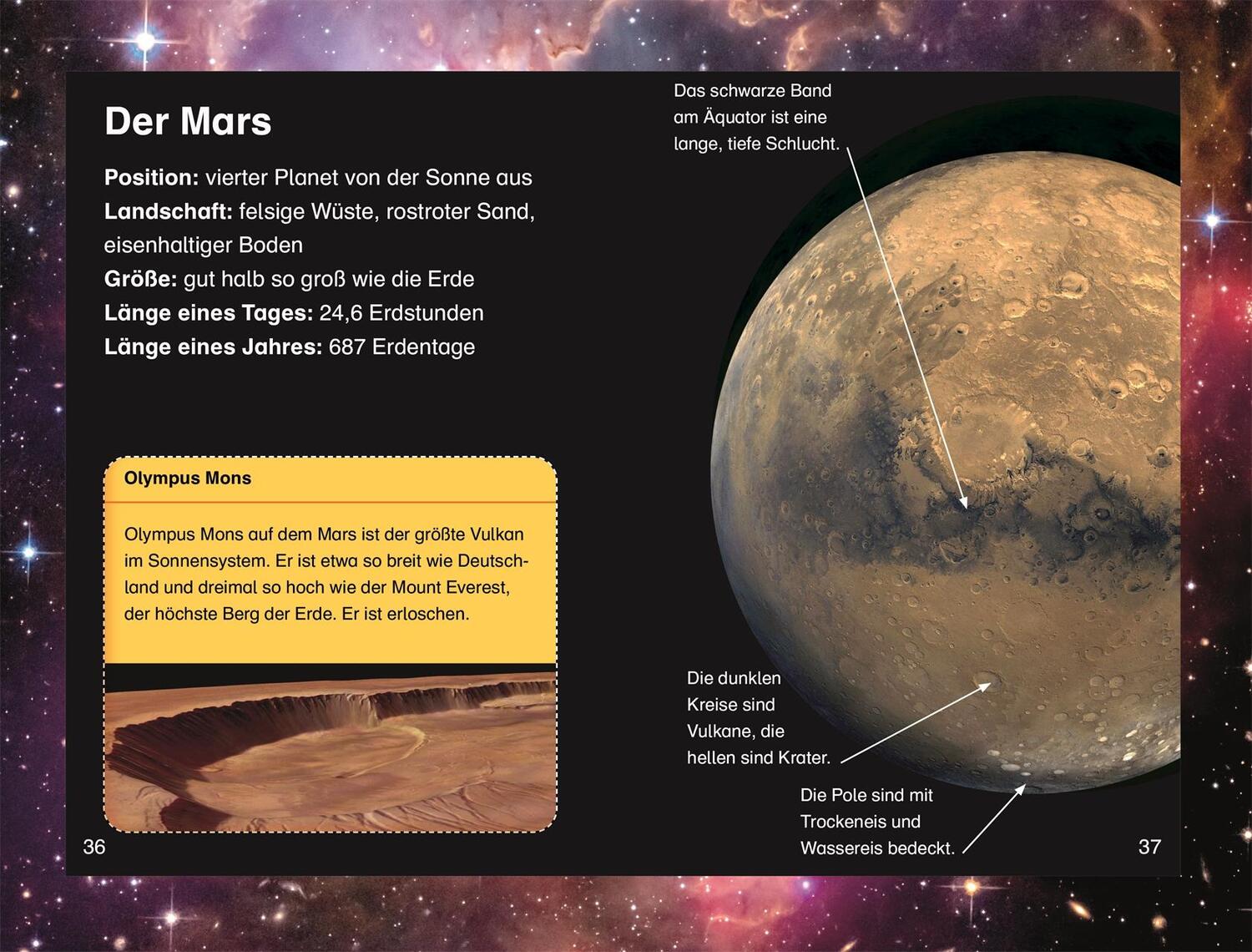 Bild: 9783831043507 | SUPERLESER! Expedition zum Mars | Peter Lock | Buch | SUPERLESER!