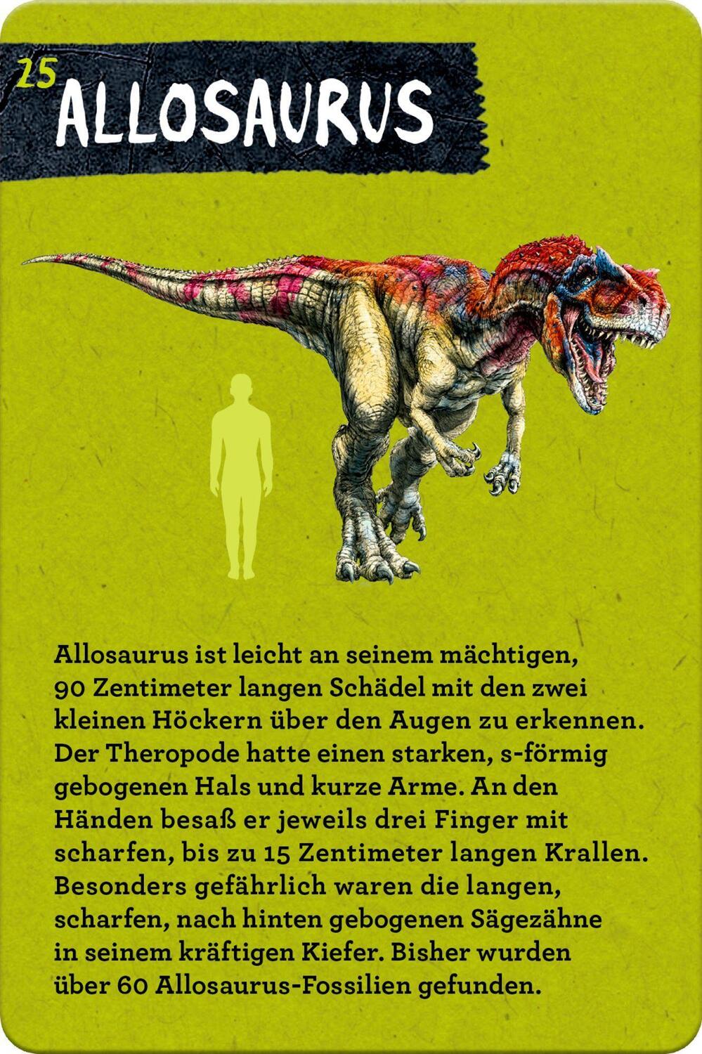 Bild: 9783649644286 | 50 Dinosaurier | Barbara Wernsing | Stück | Nature Zoom | Deutsch