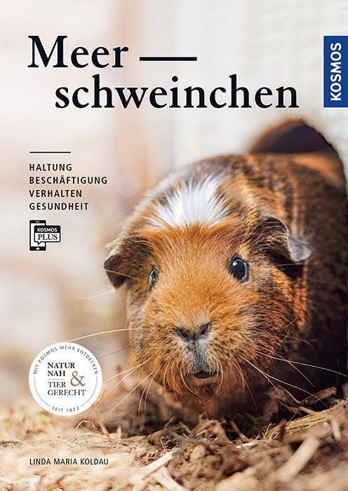 Cover: 9783440147023 | Meerschweinchen | Haltung, Beschäftigung, Verhalten und Gesundheit