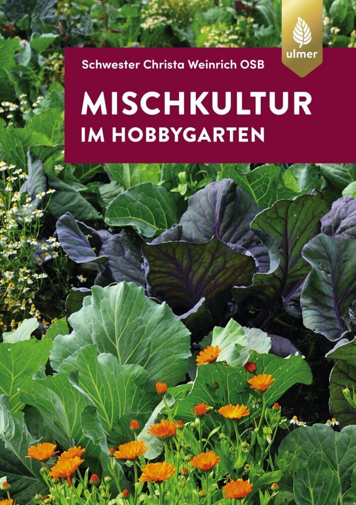 Cover: 9783818605339 | Mischkultur im Hobbygarten | Christa Weinrich | Taschenbuch | 128 S.