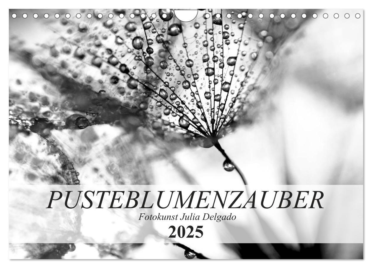 Cover: 9783435266449 | Pusteblumenzauber in schwarzweiß (Wandkalender 2025 DIN A4 quer),...