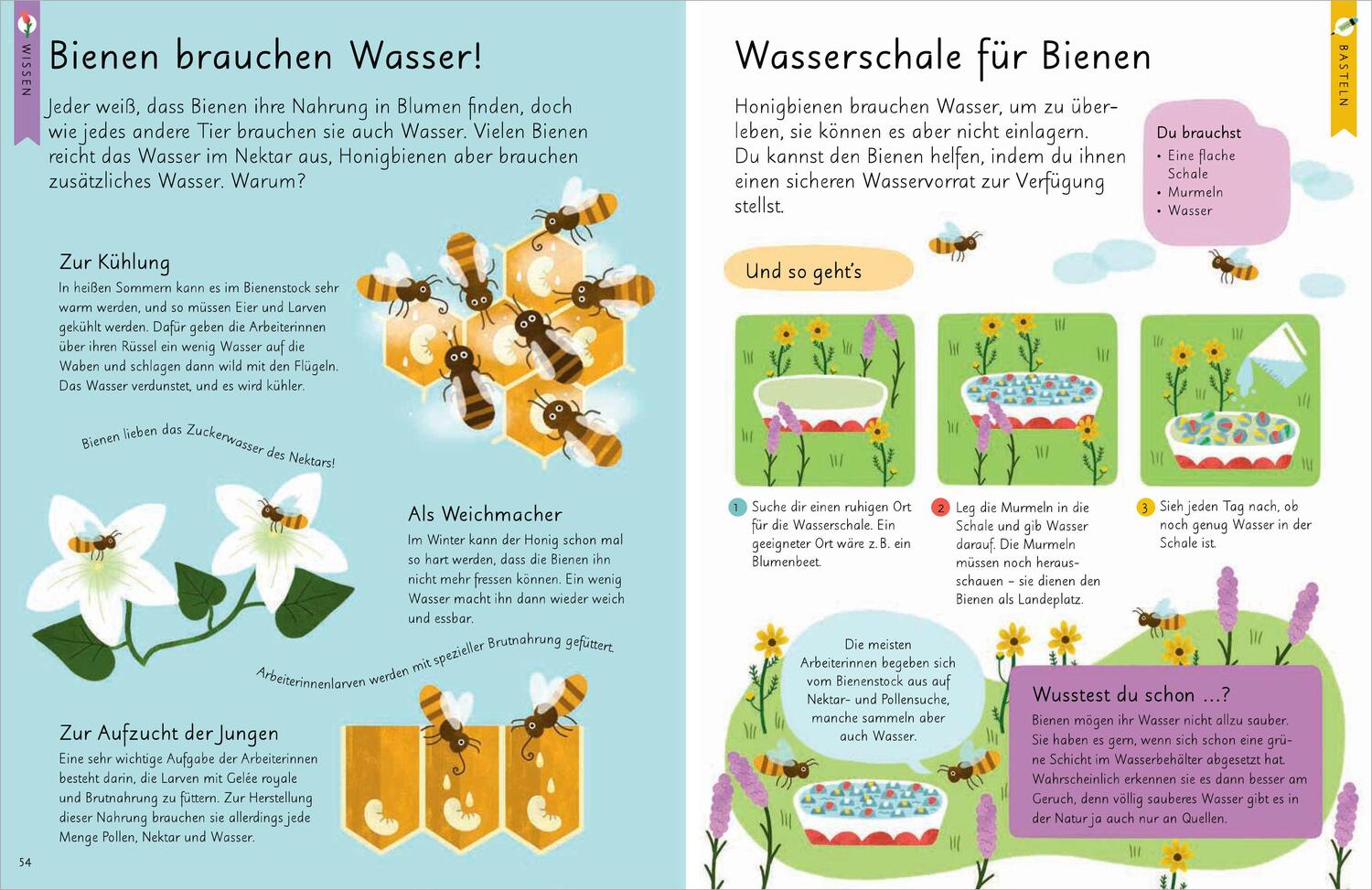 Bild: 9783809443018 | Kennst du die Natur? - Bienen. Das Aktiv- und Wissensbuch für...