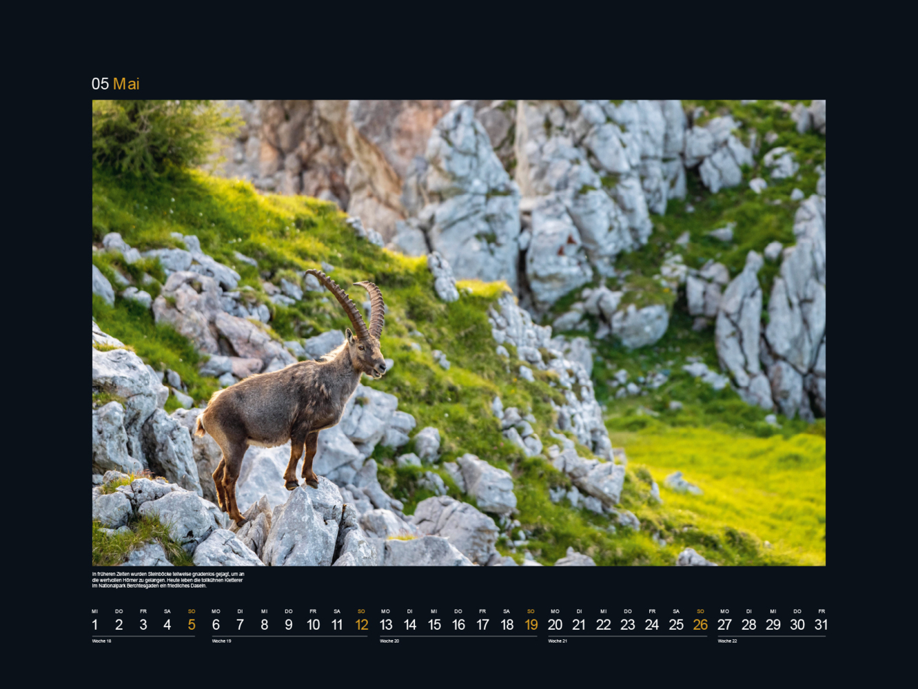 Bild: 9783965912670 | Safari Europa - KUNTH Wandkalender 2024 | Kalender | 14 S. | Deutsch