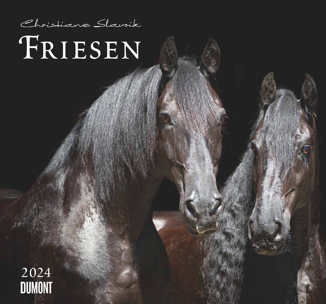 Cover: 4250809651835 | Kal. 2024 Friesen | DUMONT Kalender | Kalender | 30 S. | Deutsch