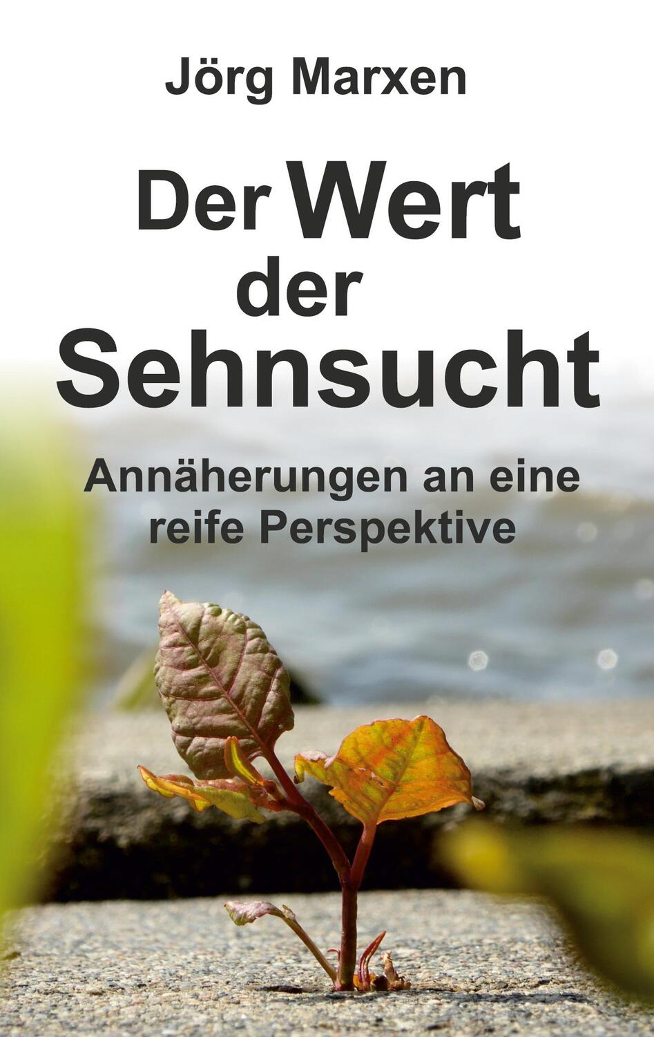 Cover: 9783347148376 | Der Wert der Sehnsucht | Annäherungen an eine reife Perspektive | Buch