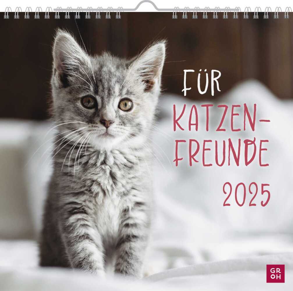 Cover: 4036442011881 | Wandkalender 2025: Für Katzenfreunde | Groh Verlag | Kalender | 12 S.