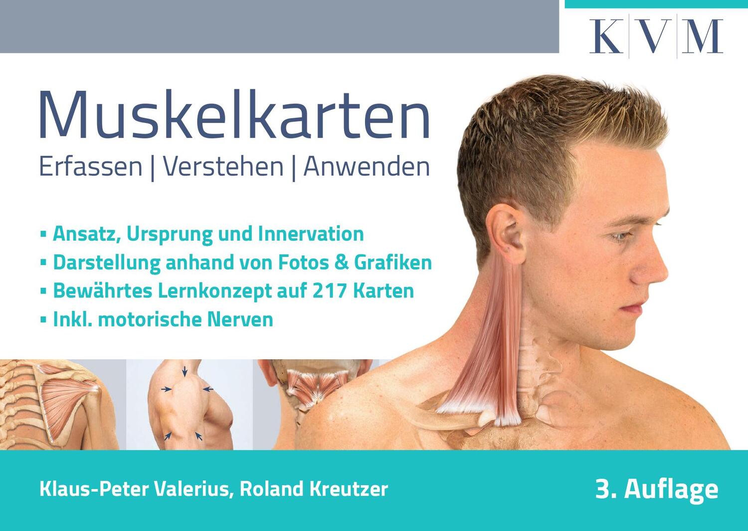 Cover: 9783868676006 | Muskelkarten | Erfassen Verstehen Anwenden | Valerius (u. a.) | Box