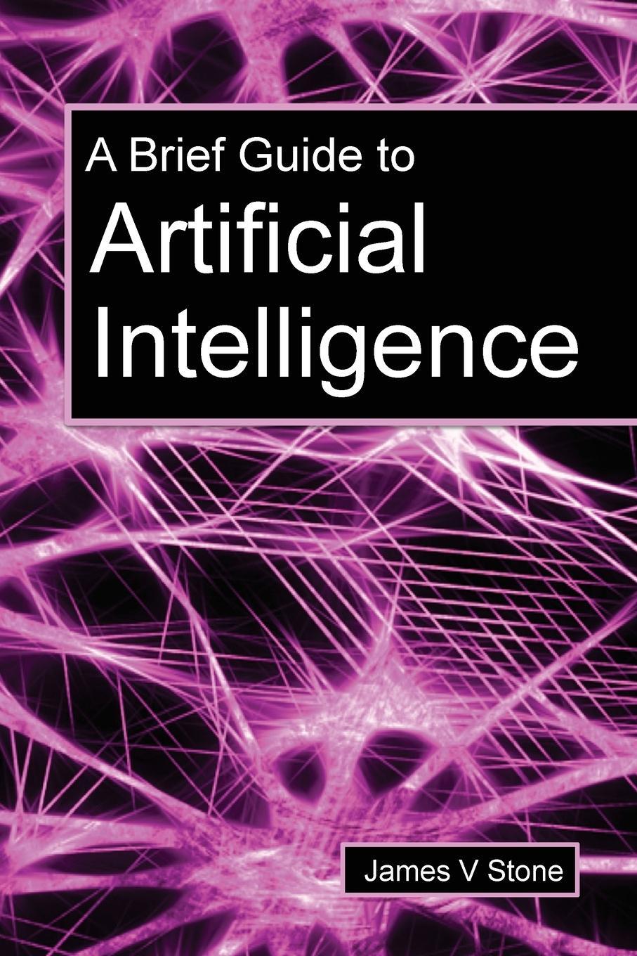 Cover: 9781916279117 | A Brief Guide to Artificial Intelligence | James V Stone | Taschenbuch