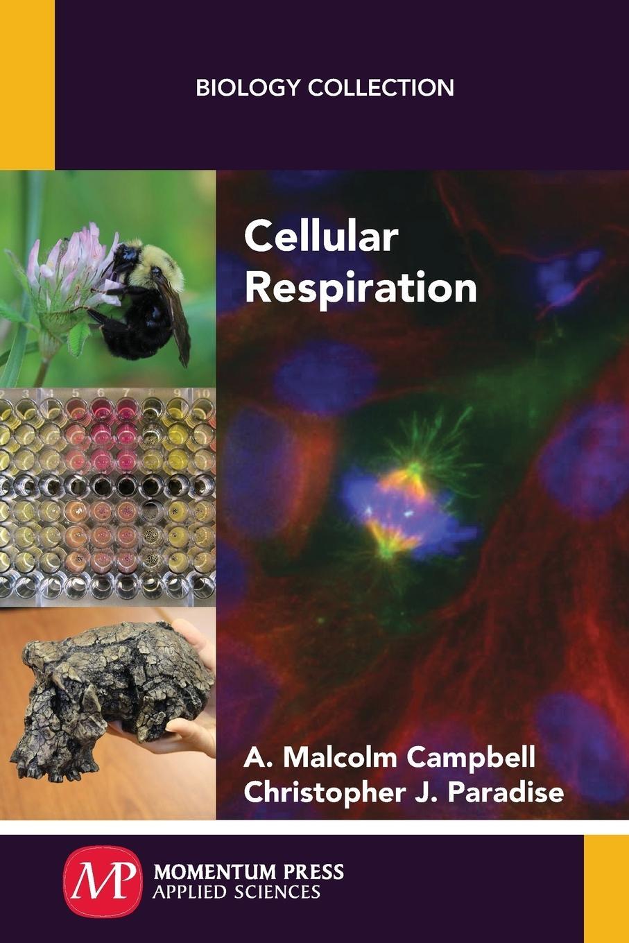 Cover: 9781606509975 | Cellular Respiration | Christopher J. Paradise | Taschenbuch | 2016
