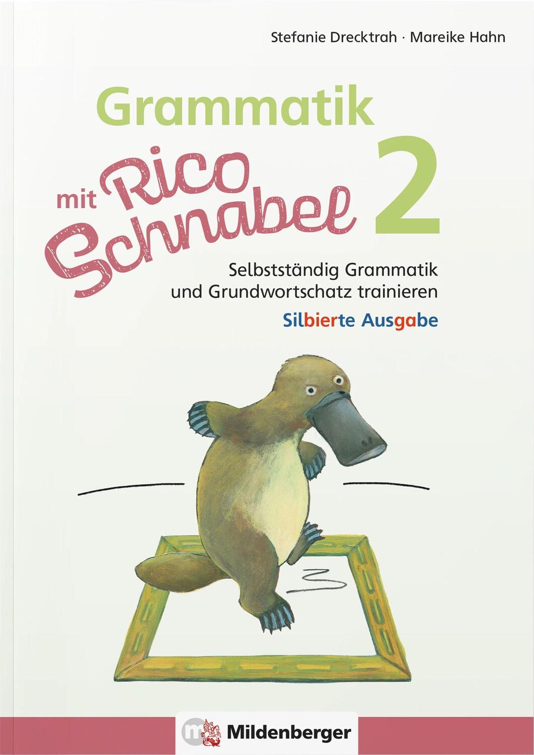 Cover: 9783619220441 | Grammatik mit Rico Schnabel, Klasse 2 - silbierte Ausgabe | Broschüre