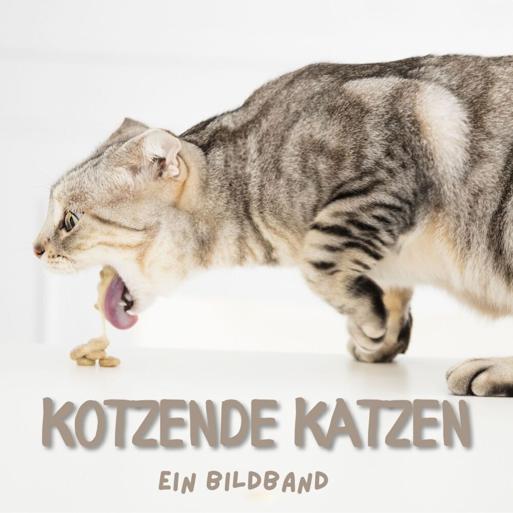 Cover: 9783750506404 | Kotzende Katzen | Ein Bildband | Tim Fröhlich | Taschenbuch | 42 S.