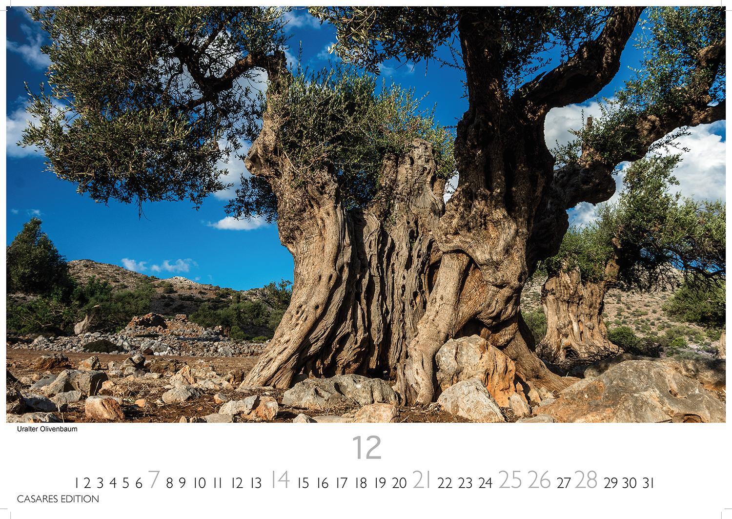Bild: 9781835240786 | Kreta 2025 L 35x50cm | Kalender | 14 S. | Deutsch | 2025
