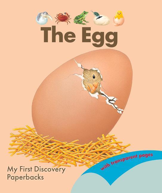 Cover: 9781851037544 | The Egg | Rene Mettler | Taschenbuch | My First Discovery Paperbacks