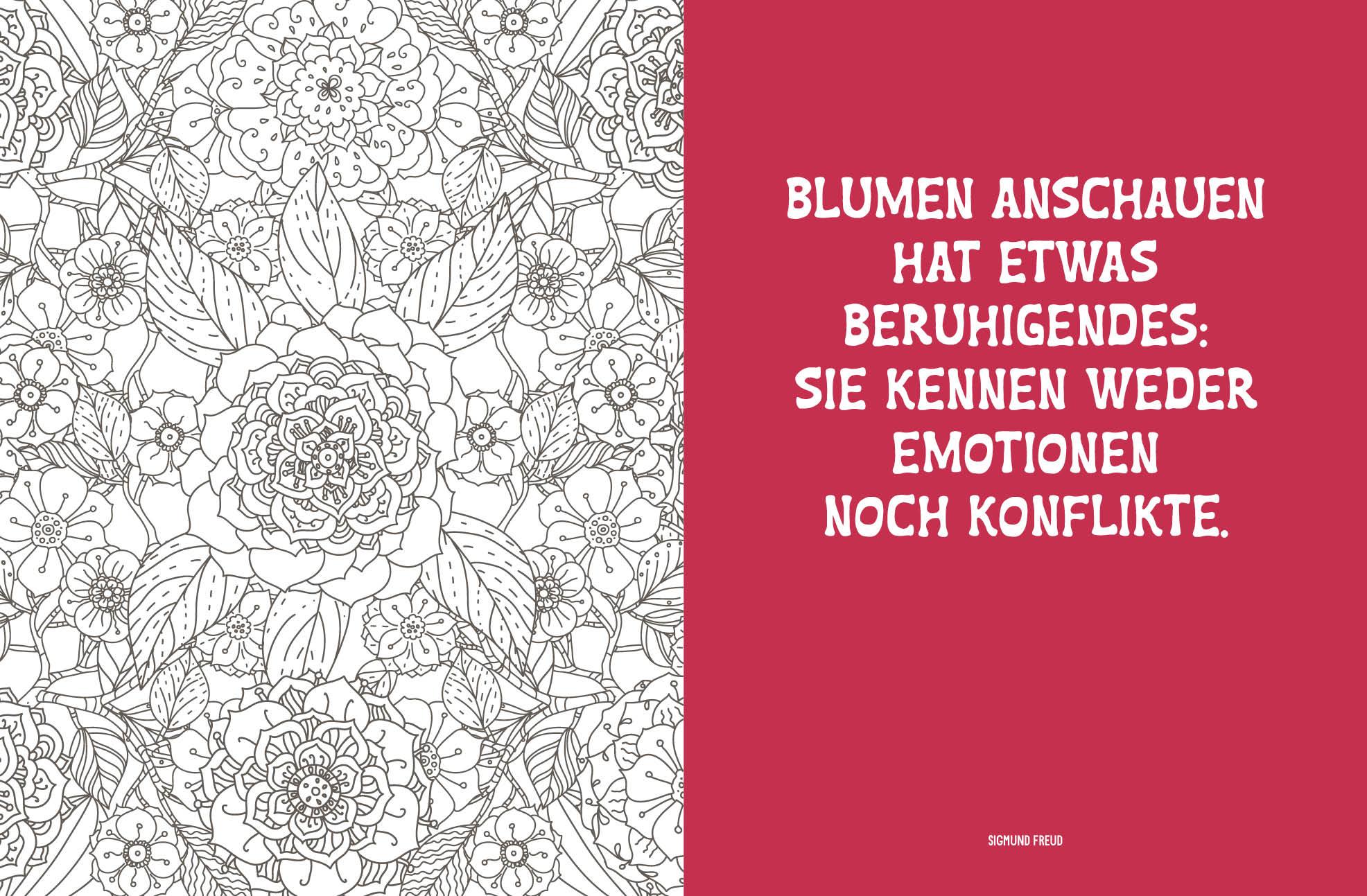 Bild: 9783745922219 | Colorful Mandala - Botanischer Garten | Taschenbuch | 96 S. | Deutsch