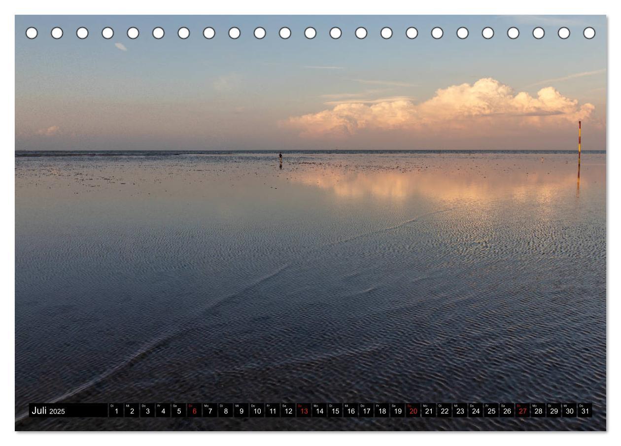 Bild: 9783435109395 | Welterbe Wattenmeer (Tischkalender 2025 DIN A5 quer), CALVENDO...