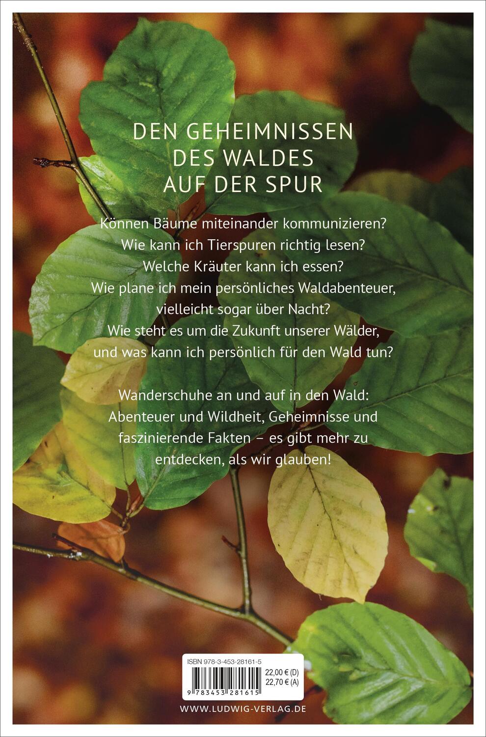 Bild: 9783453281615 | Waldgeheimnisse | Wohllebens Waldakademie | Taschenbuch | 320 S.