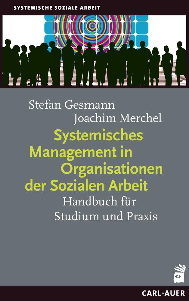 Cover: 9783849703103 | Systemisches Management in Organisationen der Sozialen Arbeit | Buch