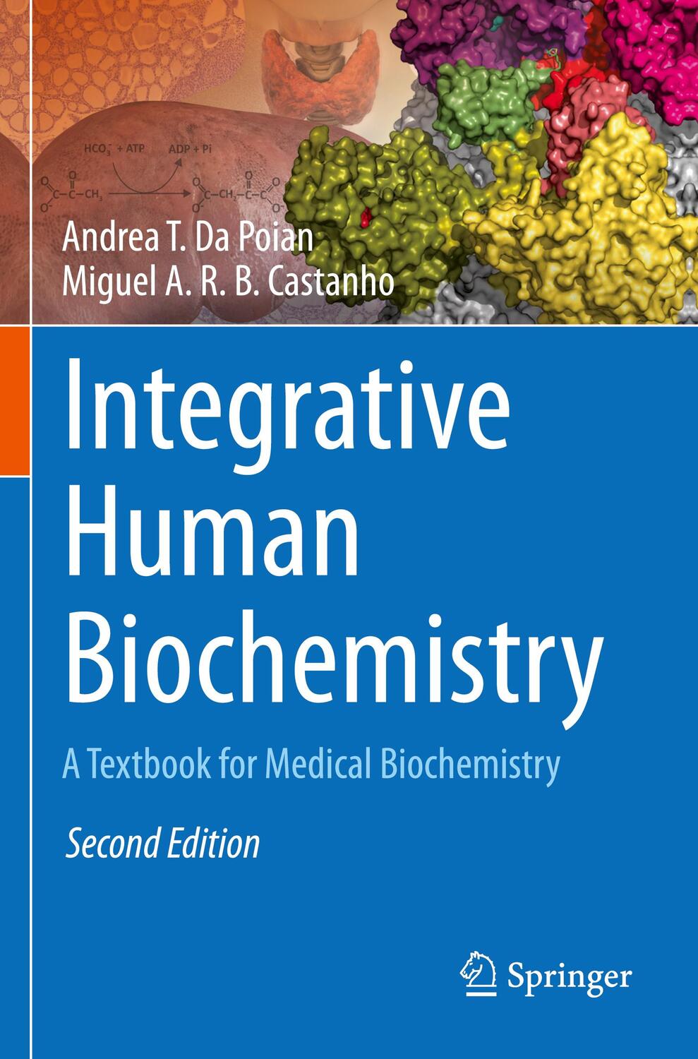 Cover: 9783030487423 | Integrative Human Biochemistry | A Textbook for Medical Biochemistry