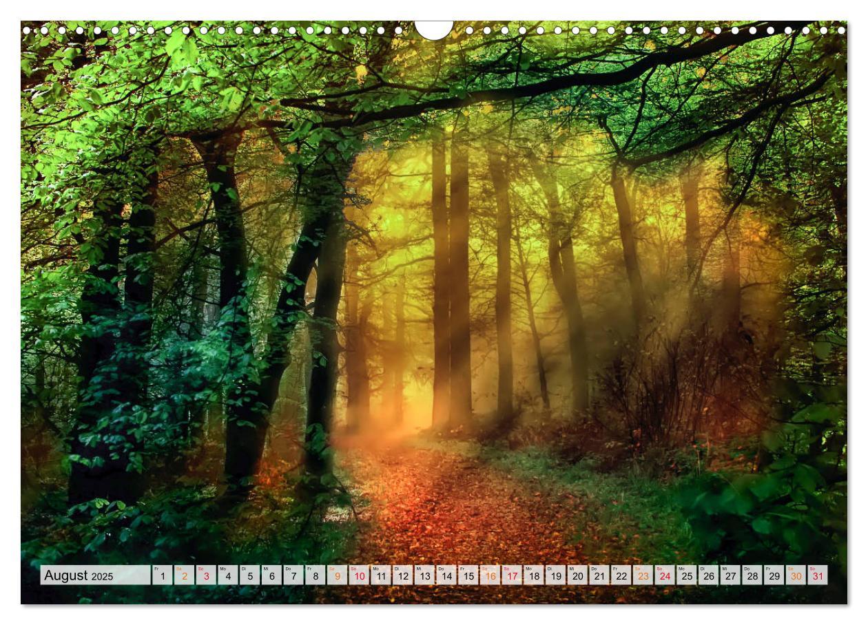 Bild: 9783435071623 | Wald - mystische Spaziergänge (Wandkalender 2025 DIN A3 quer),...